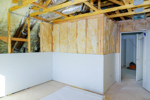 Best Insulation Installation Services in North Branch, MI