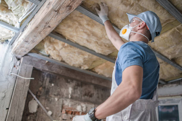 Best Residential Insulation in North Branch, MI