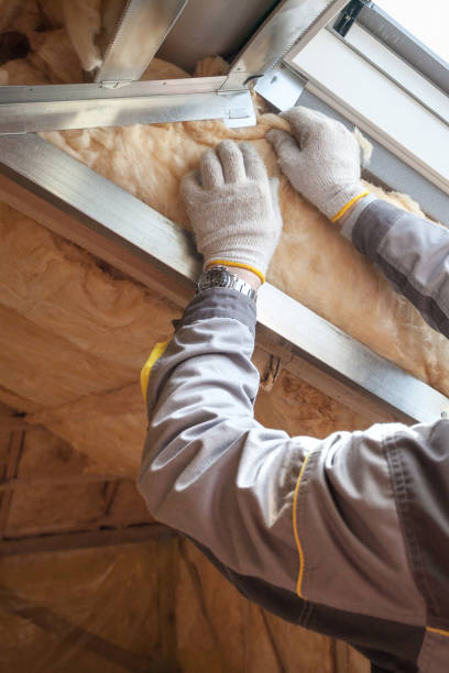 Best Insulation for Specific Applications in North Branch, MI